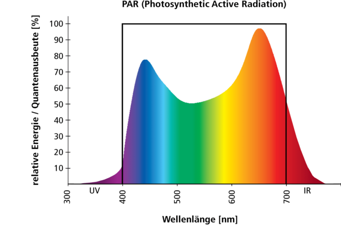 PAR-Kurve-nach-Hoover_horticulture-leds-de